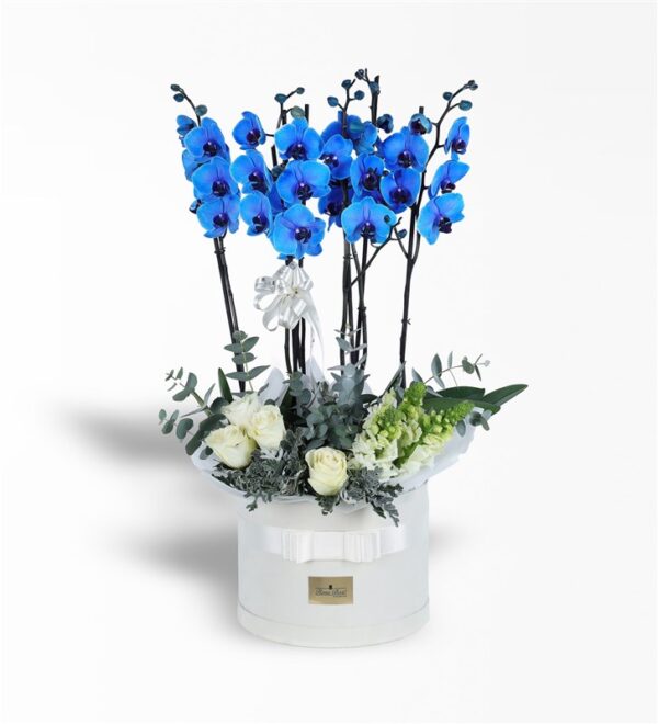 Mavi Orkide ve Güller Aranjmanı