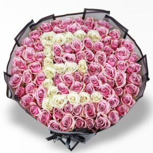 101 Li Pembe Beyaz Gül Buketi