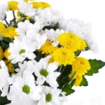 Sarı Beyaz Bahar Buketi